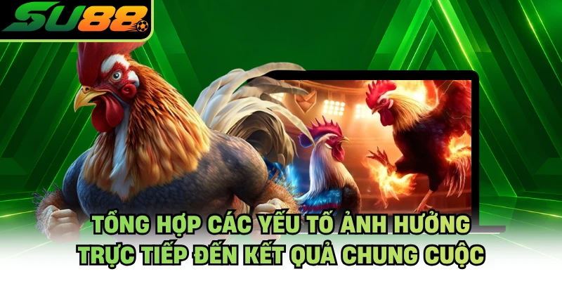 Tổng hợp các yếu tố ảnh hưởng trực tiếp đến kết quả chung cuộc