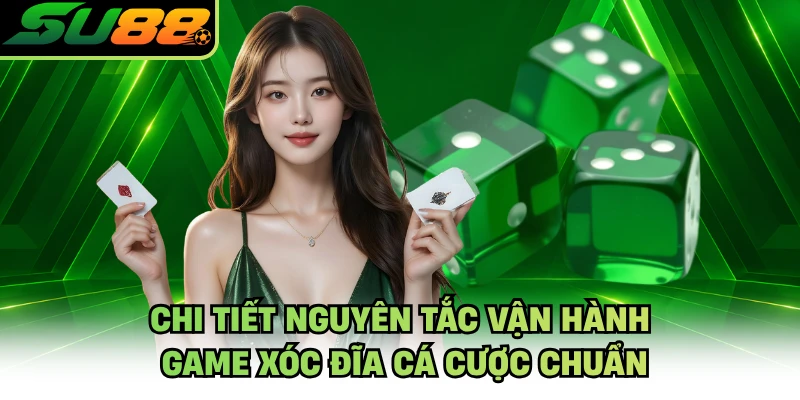 Chi tiết nguyên tắc vận hành game xóc đĩa cá cược chuẩn