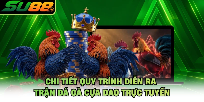 Chi tiết quy trình diễn ra trận đá gà cựa dao trực tuyến
