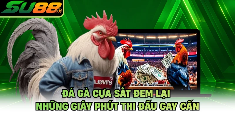 Đá gà cựa sắt đem lại những giây phút thi đấu gay cấn