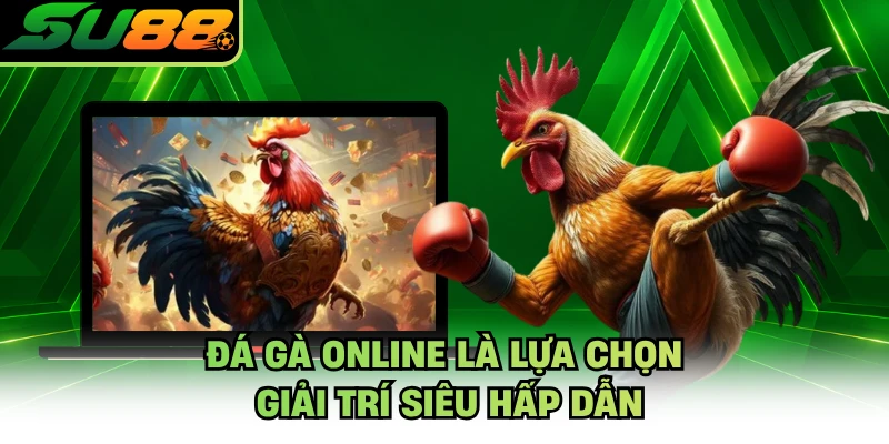 Đá gà online là lựa chọn giải trí siêu hấp dẫn