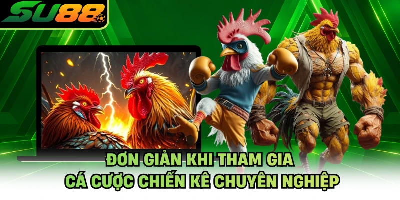 Đơn giản khi tham gia cá cược chiến kê chuyên nghiệp