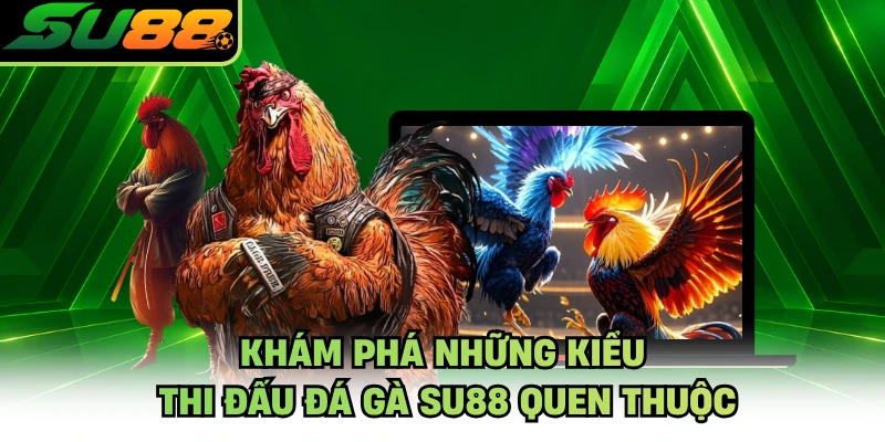 Khám phá những kiểu thi đấu đá gà SU88 quen thuộc