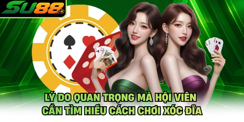 Lý do quan trọng mà hội viên cần tìm hiểu cách chơi xóc đĩa