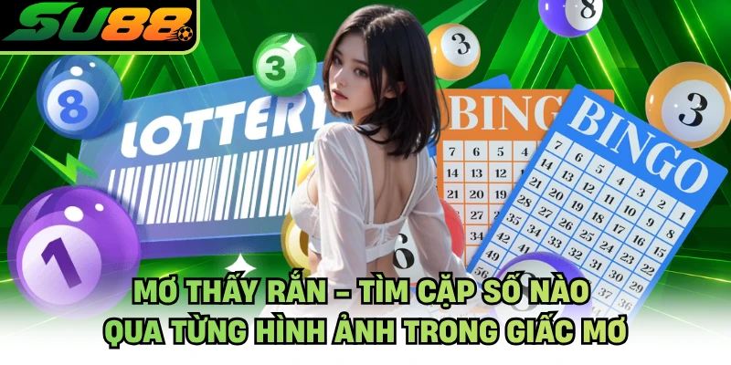 Mơ Thấy Rắn - Tìm Cặp Số Nào Qua Từng Hình Ảnh Trong Giấc Mơ