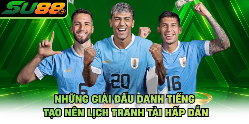 Những giải đấu danh tiếng tạo nên lịch tranh tài hấp dẫn