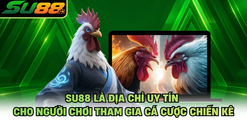 SU88 là địa chỉ uy tín cho người chơi tham gia cá cược chiến kê