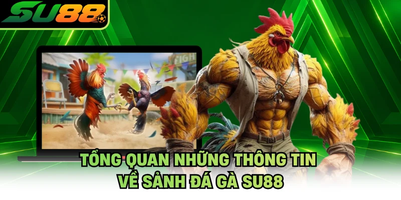Tổng quan những thông tin về sảnh đá gà SU88