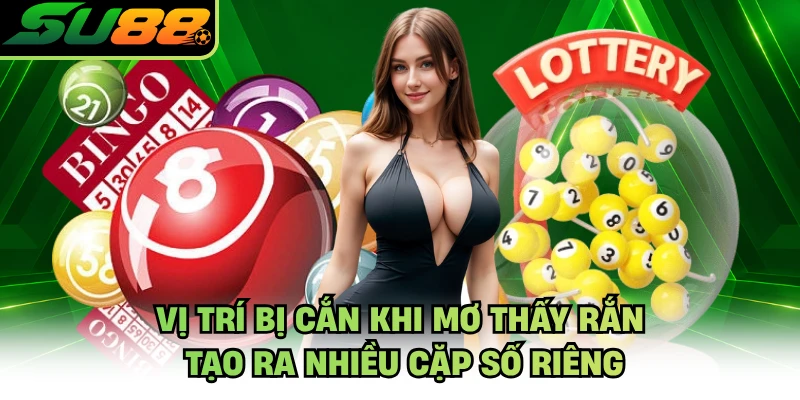 Vị trí bị cắn khi mơ thấy rắn tạo ra nhiều cặp số riêng
